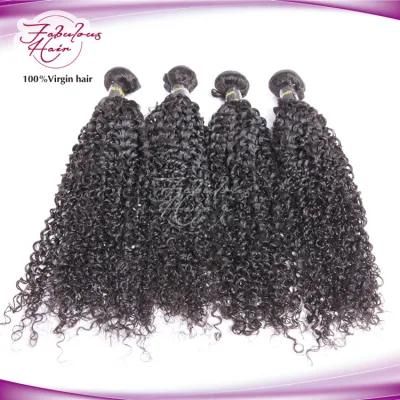 Indian Kanekalon Braid Hair Kinky Curly Remy Human Hair Weave