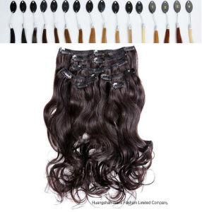 Double Drawn Remy Clip in Hair Extension 220 Grams
