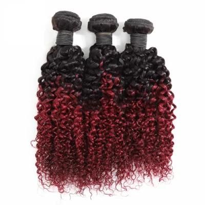 100% Human Virgin Hair Kinky Curly Clip in Hair Extensions