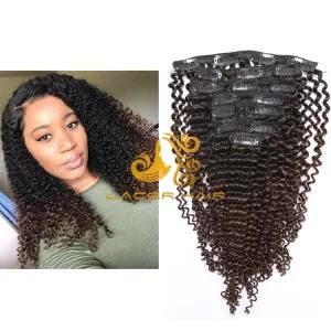 Kc4 Dark Brown Kinky Curly 8&quot;-26&quot; Remy Human Hair for Clip in Hair Extension in Stock