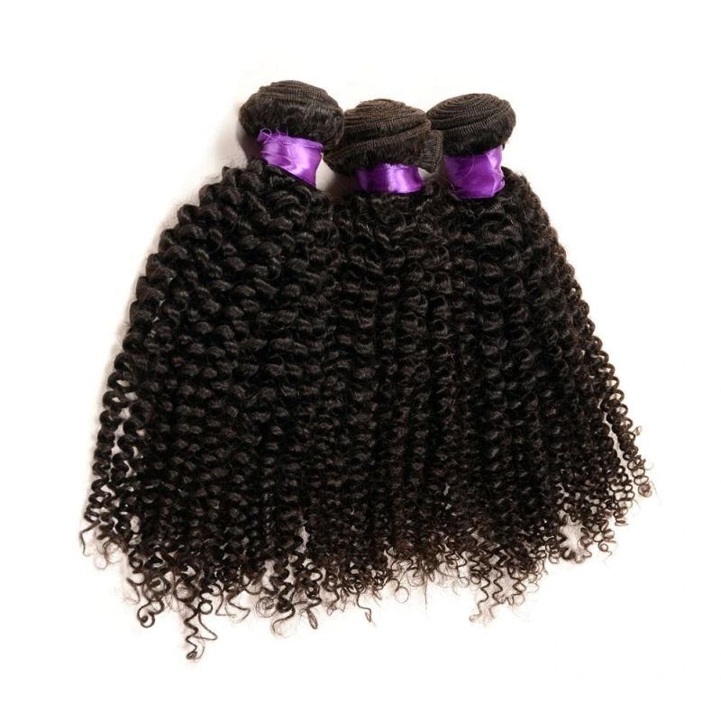 100% Virgin Indian Afro Kinky Curly Hair Hot Sale Afro Kinky Hair Weaving Grade 7A Afro Kinky Human Hair