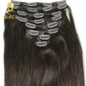 Indian Black Human Remy Clip in Hair Extension