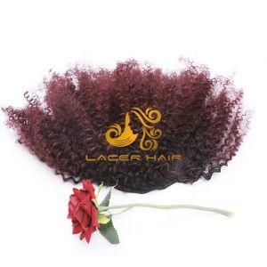 Burgandy Ombre 1b/99j Red Wine Afro Curly 4b4a 8&quot;-26&quot; Remy Human Brazilian Hair in Stock
