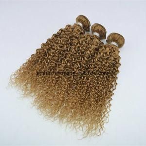 High Quality Cheap Price Hot Selling Human Hair Brazilian Color #27 Kinky Curl Hair Weave