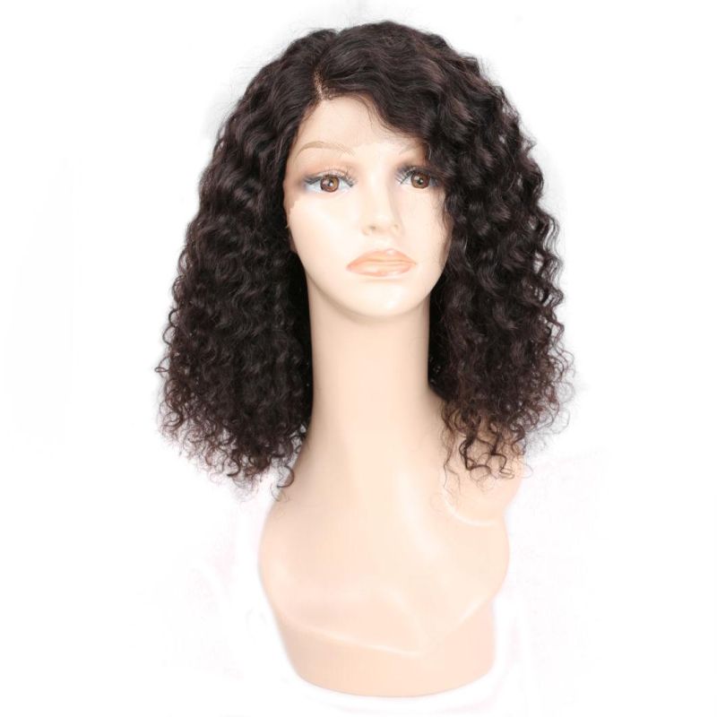 Factory Price Afro Curly Hair Had Lace Front Wig for Black Women