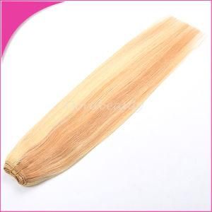 Brazilian Human Hair Piano Colors Remy Hair