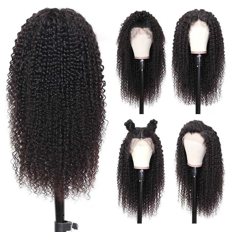 Virgin Cuticle Aligned Raw Indian Human Hair Transparent Lace Wig