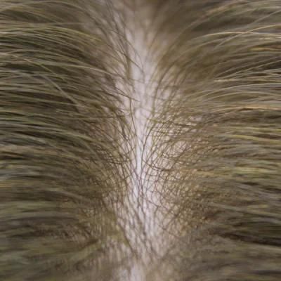 Ll168 Single Knot Single Hair Perfect Natural Toupee