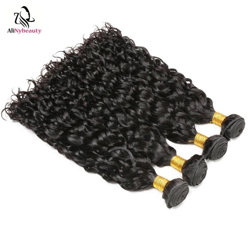 Alinybeauty Virgin Brazilian Human Hair Extension Water Wave Natural Color