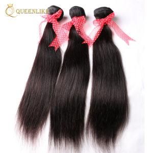 Wholesale Unprocessed Human Virgin Brazilian Hair