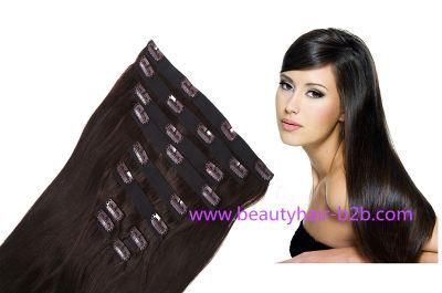 Factory Wholesale Price Best Selling Human Clip on Hair Extension