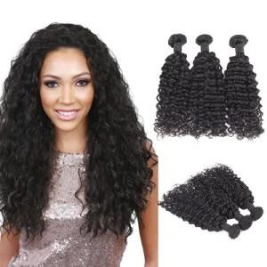 Brazilian Curly Hair in South Africa Buy Human Hair Weave Kinky Curly Hair
