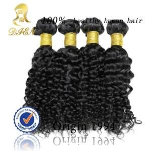 Remy Hair Cheap 100% Brazillian Human Hair