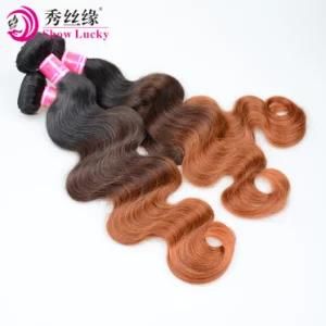 Professional Ombre Remy Human Hair Weave Unprocessed Virgin Vietnamese Human Hair Body Wave Weft