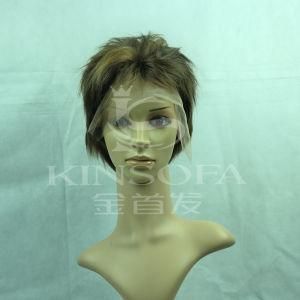 100 % Human Hair Full Lace Wig (Kinsofa 1022)