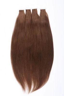 Remy Human Hair Extension Silk Straight Highlight Tape Hair Extensions