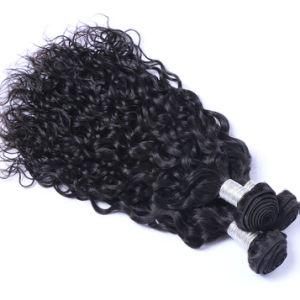 Peruvian Hair Bundles Water Wave Hair Extensions