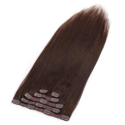 Top Quality Human Hair Hot Sale in USA/Europe Market for Full Head Deluxe Size Clips in Hair Extension