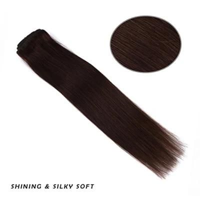 Brazilian Hair Body Wave Human Hair Clip in Hair Extension (AV-CH70-16-2)