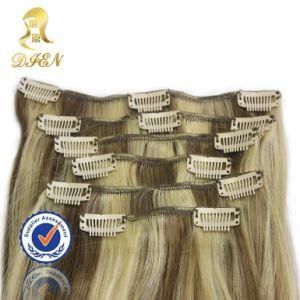 Hot Sale Indian Human Hair Clip in Hair Extension