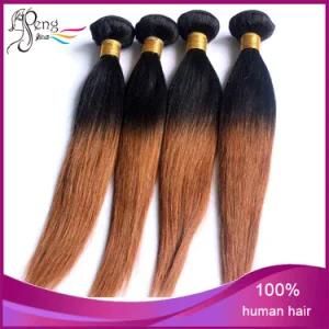 1b27# 8A Grade Virgin Unprocessed Human Hair Weft