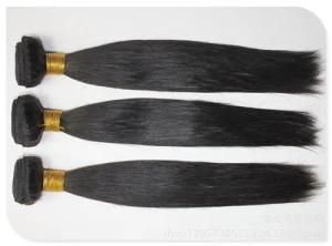 Top Quality 100% Natural Brazilian Virgin Human Hair