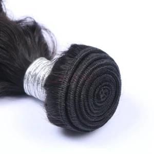 Brazilian Deep Curly Mink Virgin Human Hairs