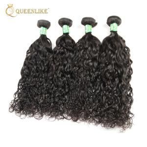 Raw Brazilian Vendors Water Wave Cutical Aligned Virgin Hair