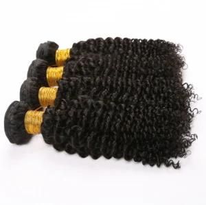 Brazilian Curly Hair Human Hair Bundles Kinky Curly