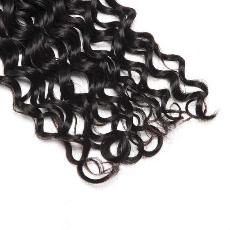 Alinybeauty 10A Water Wave Closure, 4 by 4 Hair Closure Wholesale Price Overnight Shipping