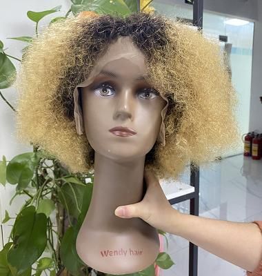 Raw Hair Wholesale Human Hair Kinky Afro Human Hair Wig Red Wigs Human Hair Lace Front Wig for Women