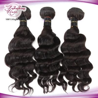 Brazilian Human Hair Unprocessed Virgin Human Hair Loose Curly Hair