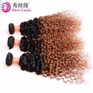 Wholesale Unprocessed Kinky Curly Mongolian Ombre Hair 1b/30 Virgin Human Hair Extension