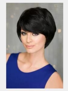 New Style Black Short Inclined Bang Hair Synthetic Wigs