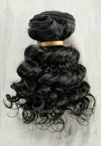 100% Human Hair Curly Weft (curly) Fatory Price