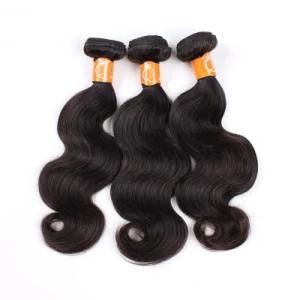 Raw Indian 100% Virgin Wholesale Human Hair Weaving Vendors