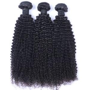 Remy Hair Weaving Human Hair Extensions Malaysian Kinky Curly