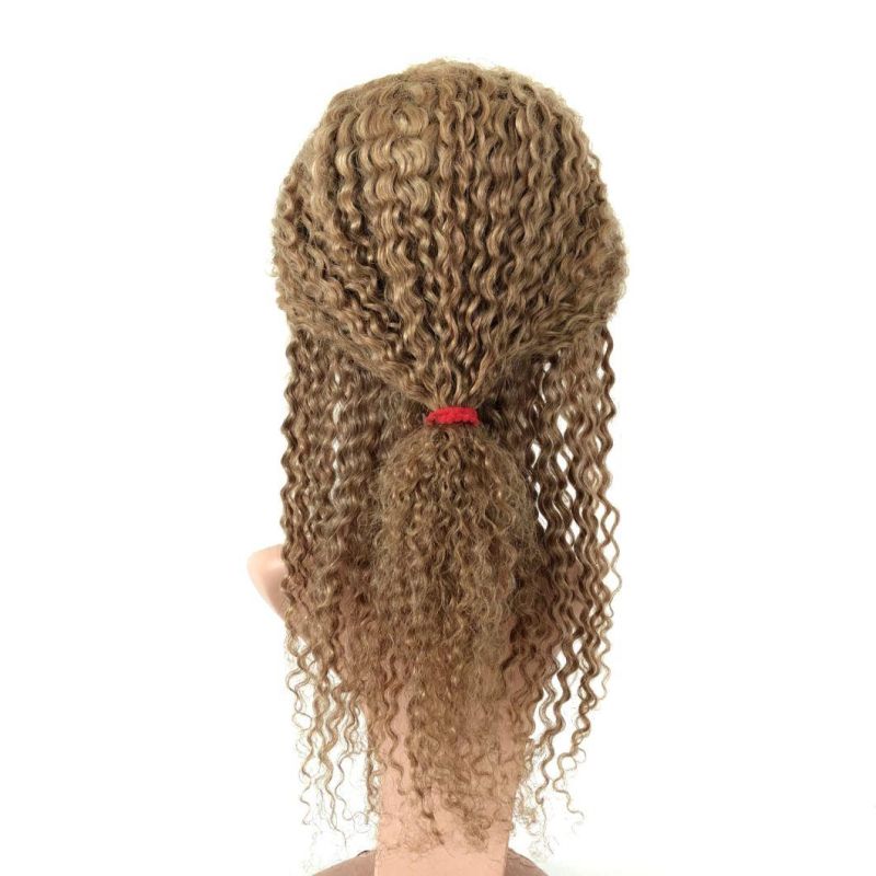 Factory Wholesale Brazilian Virgin Hair Kinky Curly Human Hair Wigs