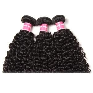 Brazilian Virgin Hair Kinky Curly Human Hair Weave Bundle