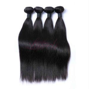 Wholesale Straight Mink Brazilian Human Hair