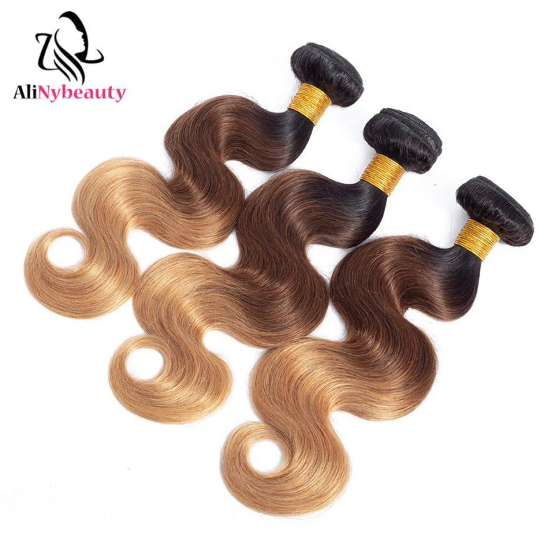 100% Unprocessed 1b/4/27 Human Hair Extension