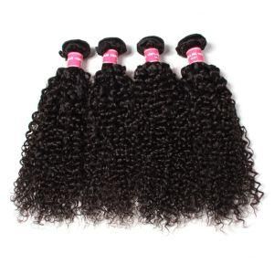 Brazilian Virgin Hair Weave Human Hair Weave Curly Human Hair Extension