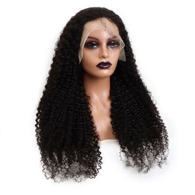 Lace Front Human Wigs for 100 Unprocessed Brazilian Straight