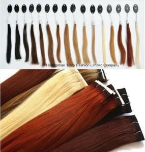 Wholesale 100% 9A Virgin European Double Drawn Hair Weft