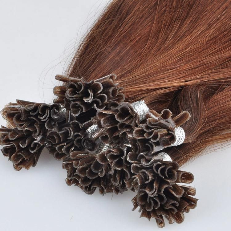 Qingdao Factory 100% Human Hair 1g U-Tip Human Hair Extensions.