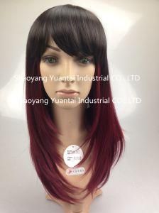 Ombre Long Straight Synthetic Hair Wig