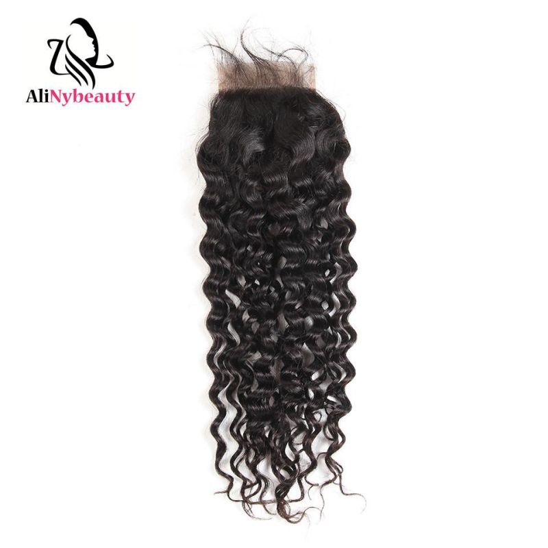 Brazilian Human Hair Water Wave Hair Bundles with Lace Closure