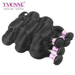 Pretty Body Wave Virgin Brazilian Hair