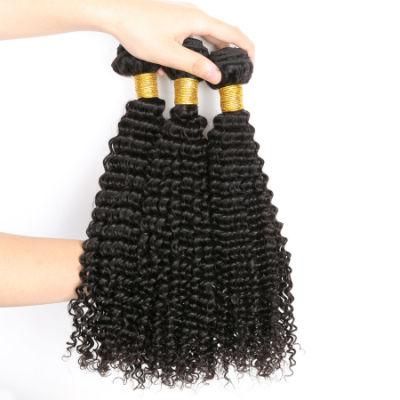 Hot Selling Kinky Curly Brazilian Virgin Hair Weave