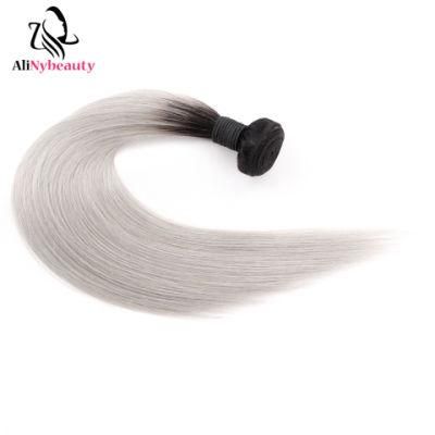 Alinybeauty Straight Bundles Brazilian Human Hair 1b/Grey Color
